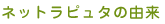 �l�b�g���s���^�̗R��