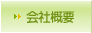 ЊTv